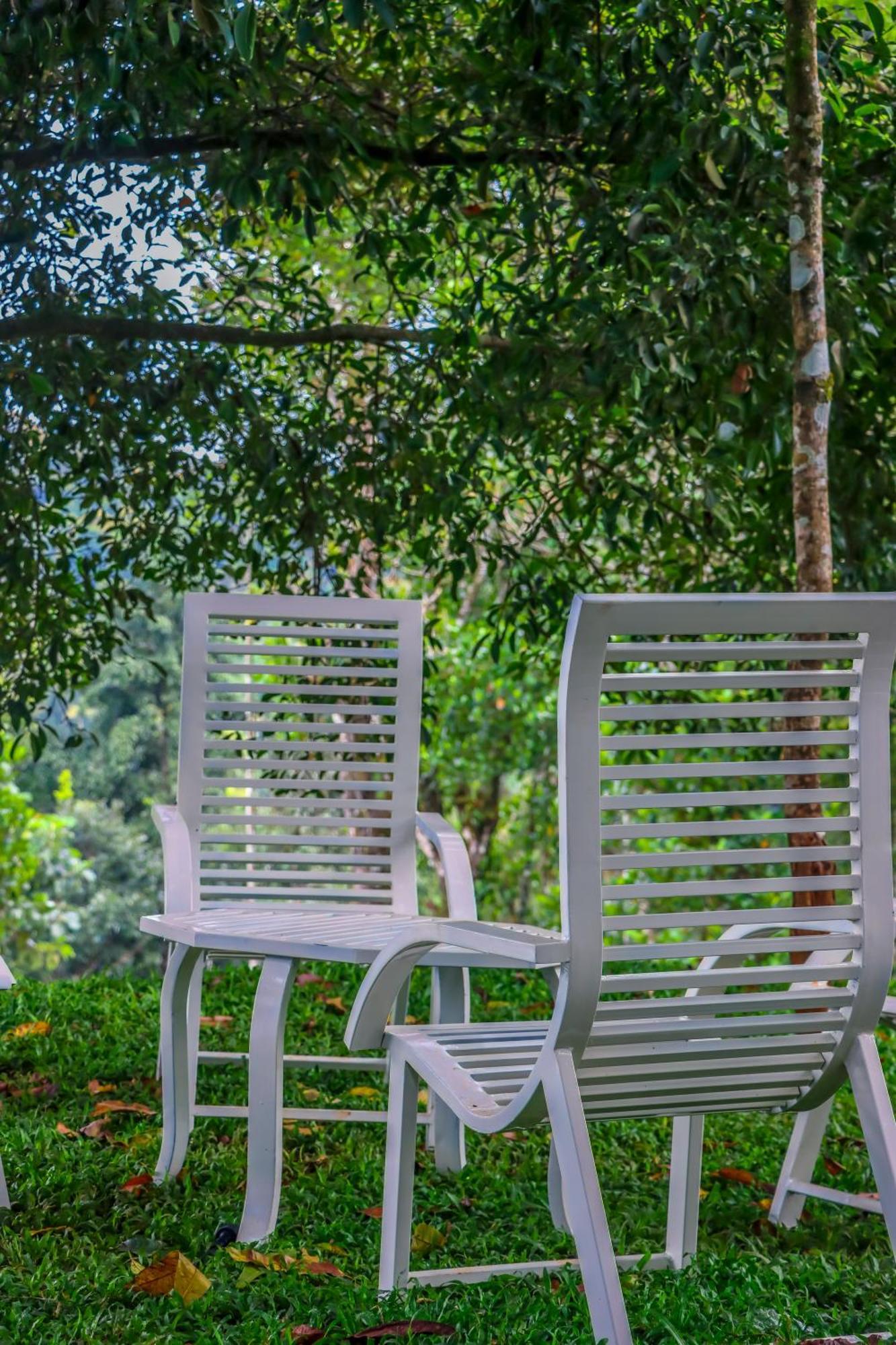 Winter Note Resorts Munnar Buitenkant foto